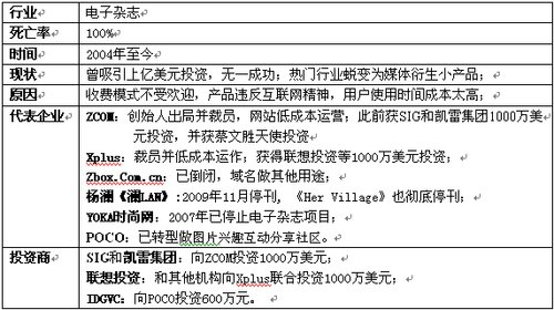 电子杂志行业全军覆没 上亿美元风投全打水漂