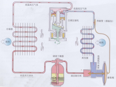 中国冷链物流网